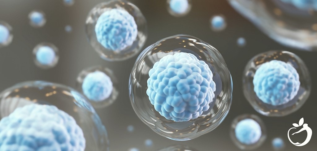 Mast Cell Activation Syndrome – When The Immune System Runs Off the Rails