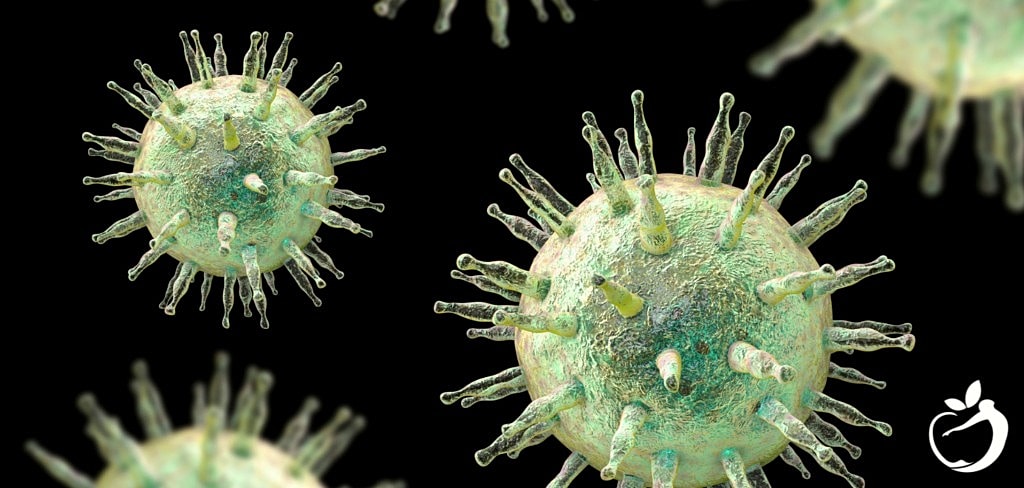 Reactivated Epstein Barr Virus – What You Need to Know