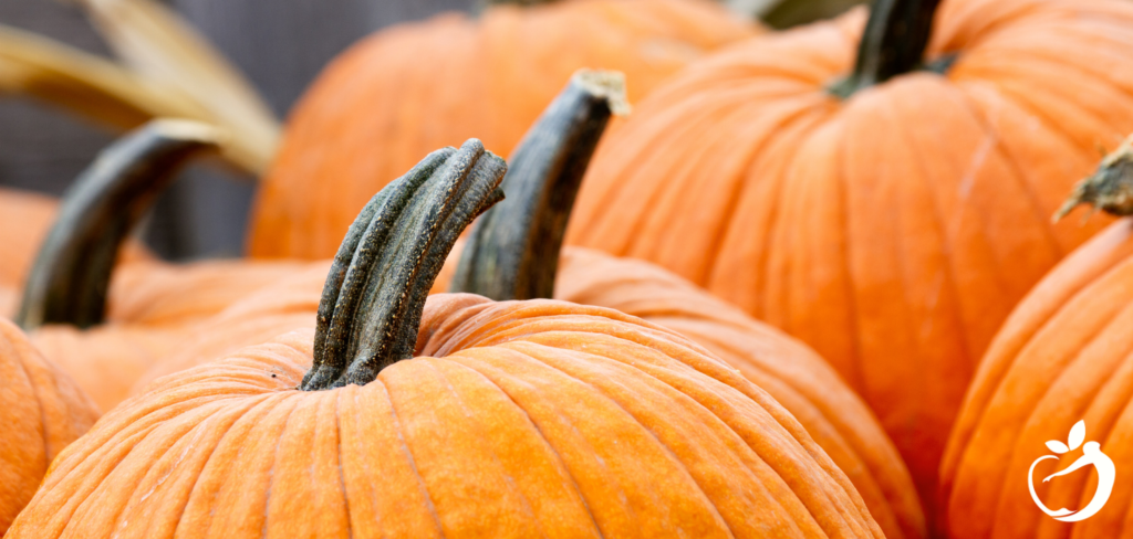 Image of pumpkins: Blog Post Header Image - Delicious Pumpkin Recipes