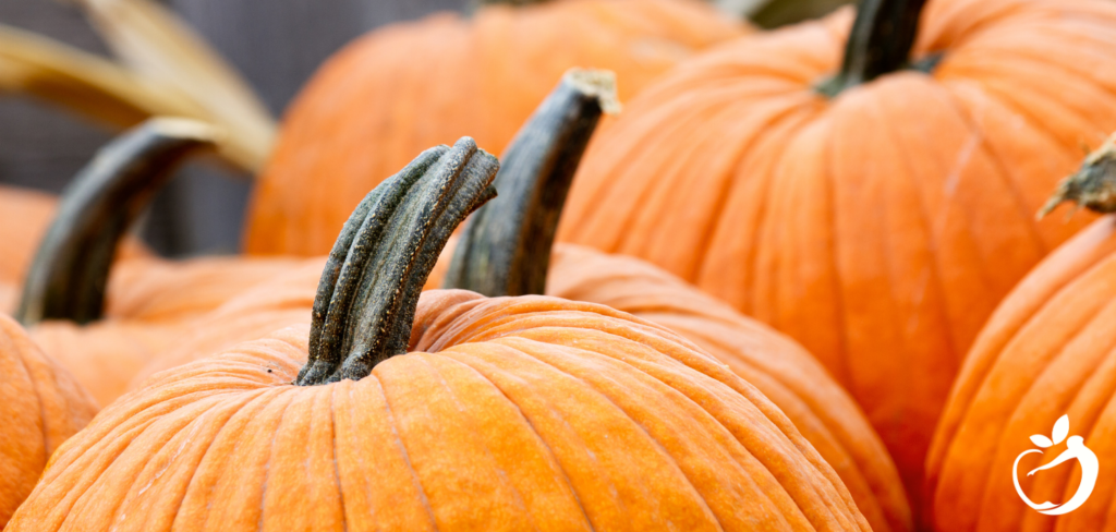 group of pumpkins