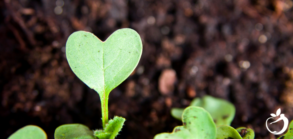 To show a heart-shaped sprout growing out of soil, which demonstrates the essential nourishment that loving relationships provides.