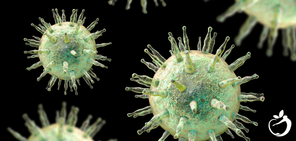 Reactivated Epstein Barr Virus - What You Need to Know | Blog