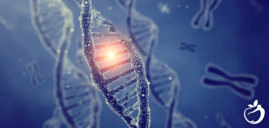 Blog Post Header Image - What Is MTHFR Gene Mutation. Image of DNA strand.