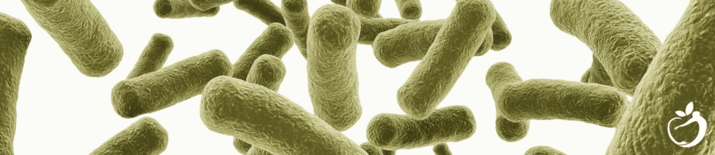 closeup image of germs