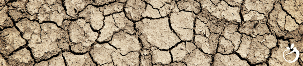 dry, cracked ground