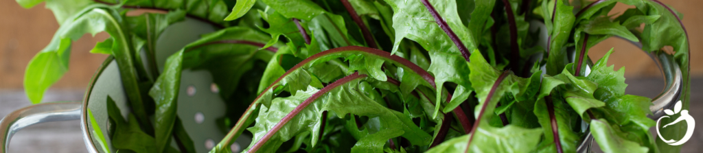 Image of dandelion greens used as part of the Fully Functional® spring cleaning and detox protocol.