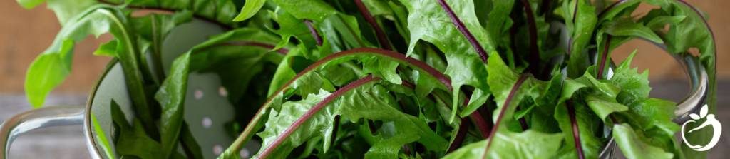 dandelion greens in a colander