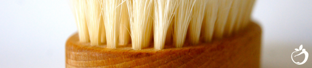 closeup of a wooden brush with bristles