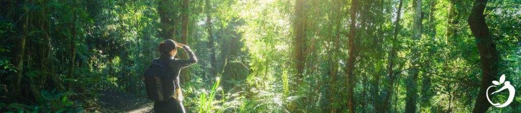 man looking into a forest