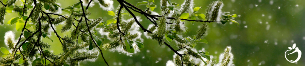 To show pollen in the air and on the trees, relating to how to treat allergies.