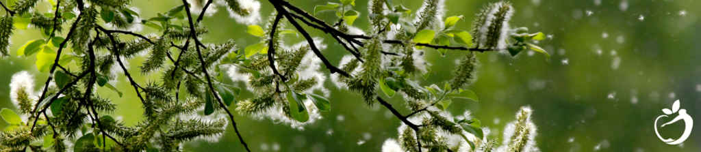 trees producing pollen