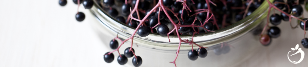 Image of elderberries, a great natural source for helping to boost the immune system.