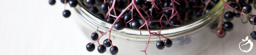 elderberries in a bowl