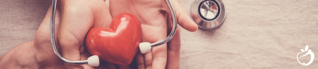 heart ornament in hands with stethoscope