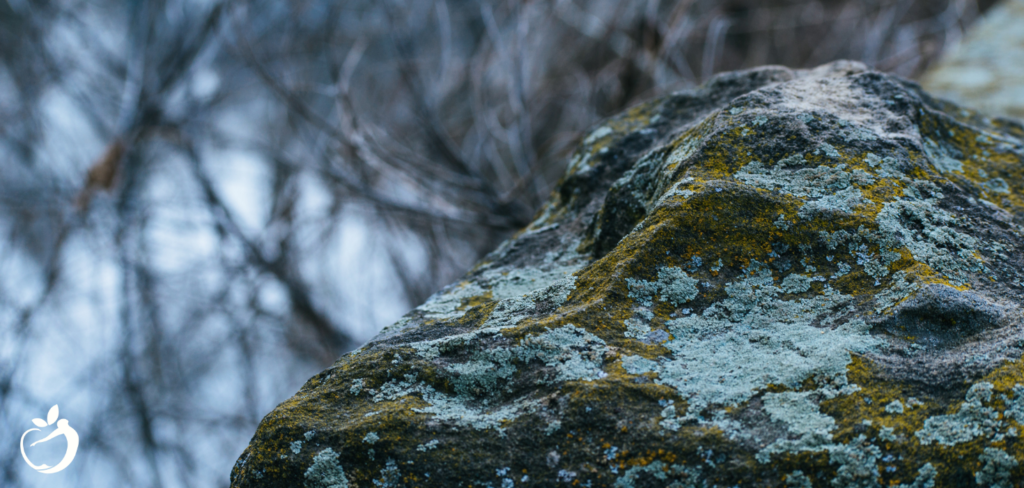 large boulder outside