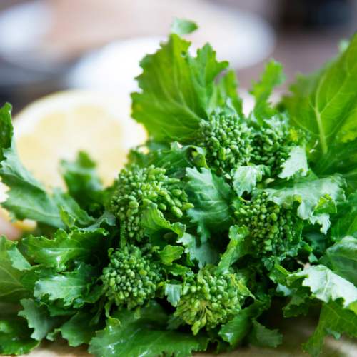 Recipe Post Header Image - Broccoli Rabe Salad With Romaine and Creamy Garlic Paleo Dressing. Image of salad ingredients.