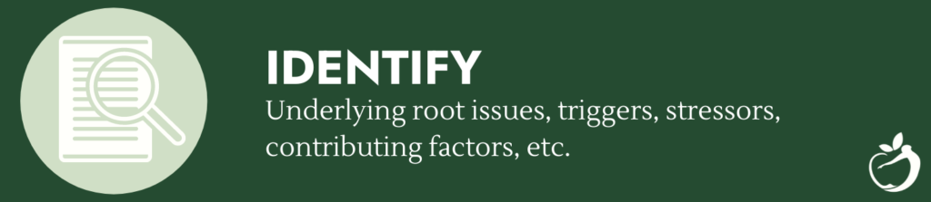 Image of "identify" - step 1 in becoming Fully Functional